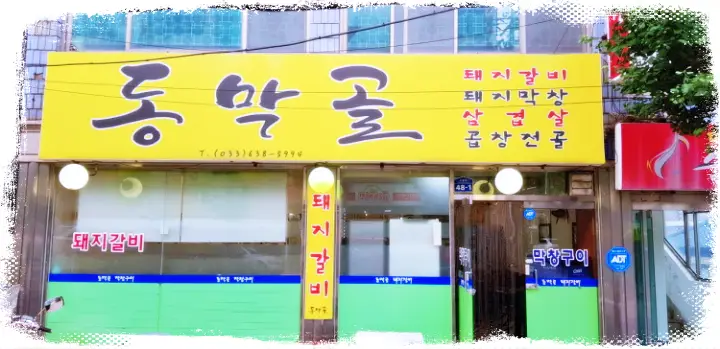 생방송투데이 막창구이 강원 속초 맛집 위치 어디