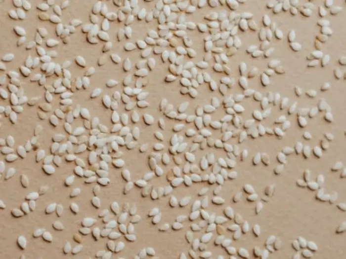 들기름 참기름 차이