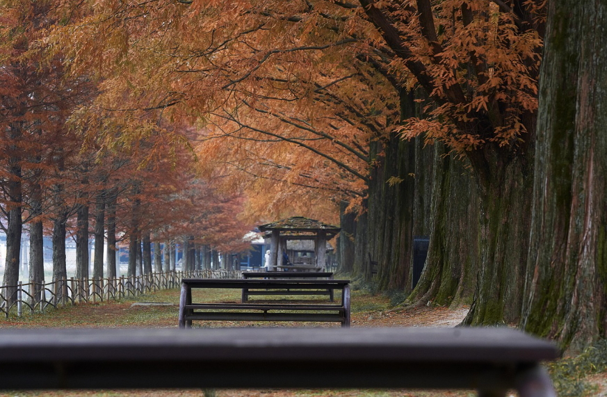 담양 감성여행 SNS 핫플, 한옥숙소, 힐링코스