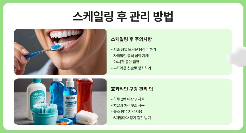 2025년 스케일링 건강보험 적용 대상 총정리- 무료로 받을 수 있는 조건은