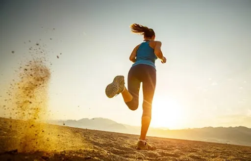 올리브 오일과 심장 건강