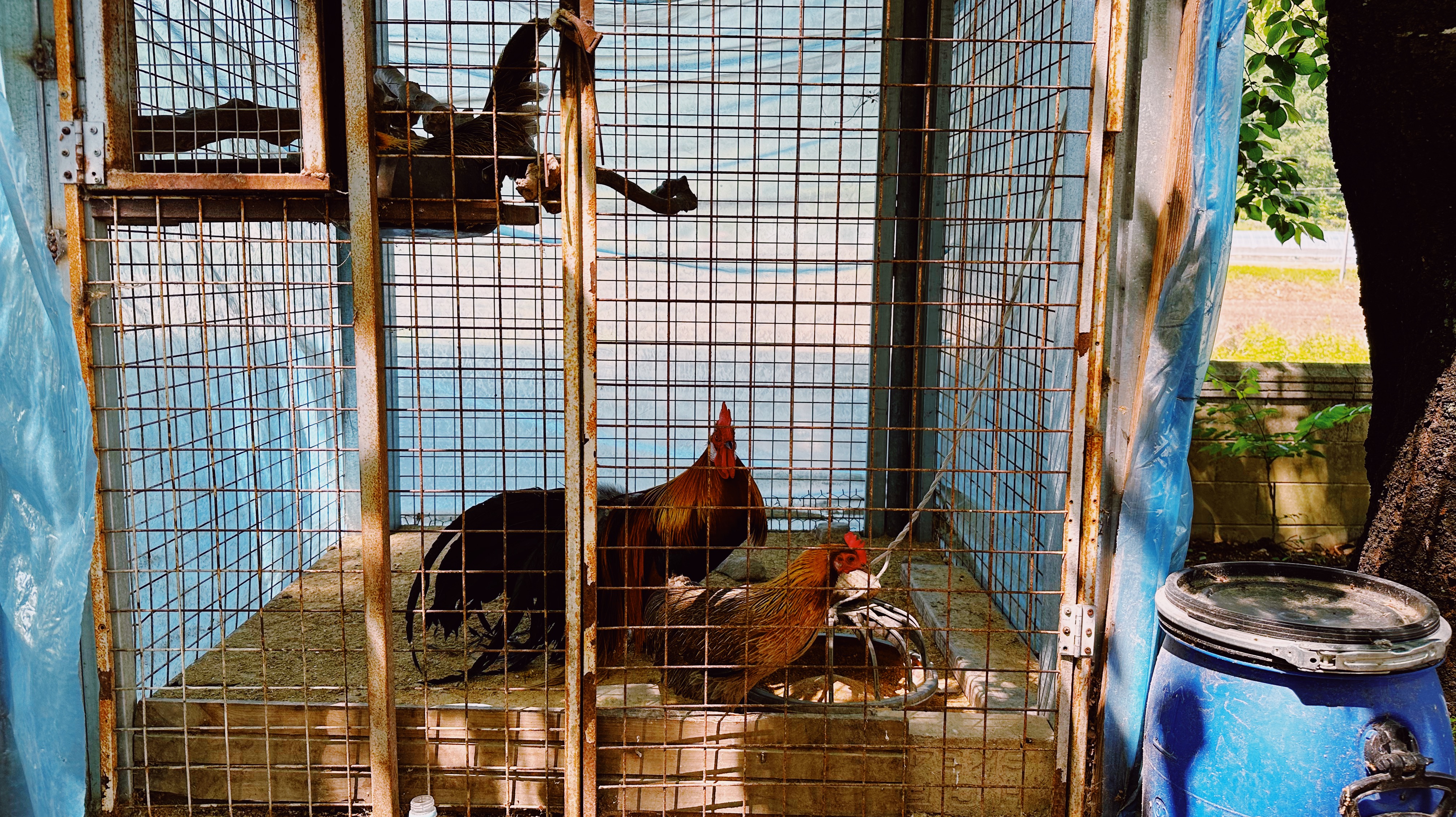 문강도예학습원