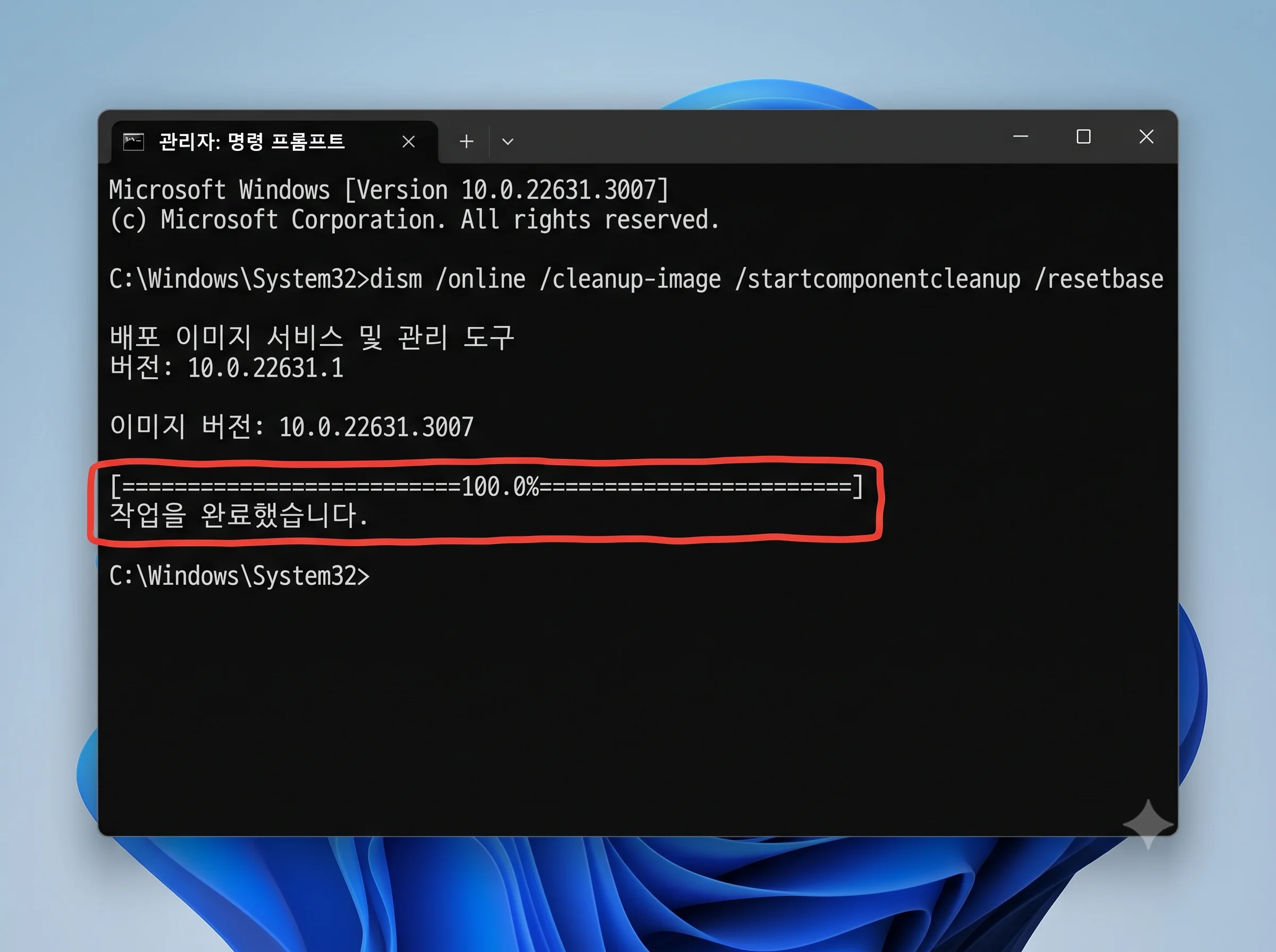 윈도우 11 DISM 컴포넌트 정리 WinSxS 백업 파일 용량 다이어트