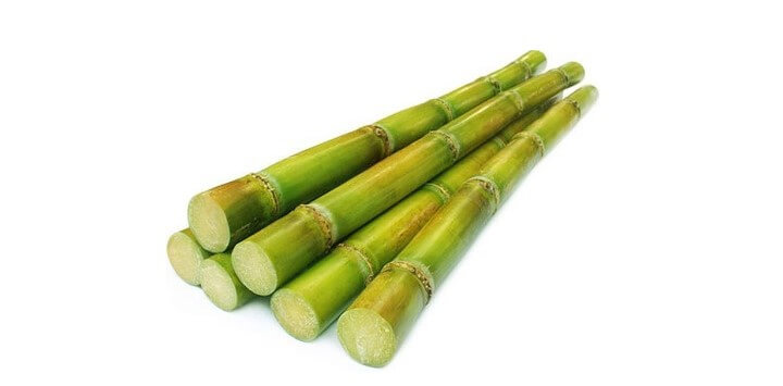 폴리코사놀 효능, 사탕수수가 중요한 이유, 나이가 들어 감에 따라 각종 질병에 노출되어 고혈압, 당뇨 등의 대사증후군을 일으키고 뇌심혈관질환으로 이어지게 됩니다.