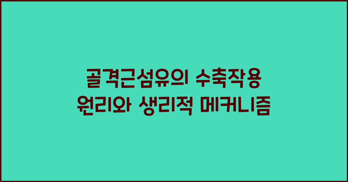 골격근섬유, 수축작용 원리