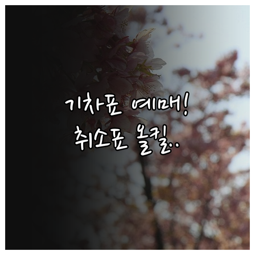 진해 군항제 기차표 예매 성공 전략과..