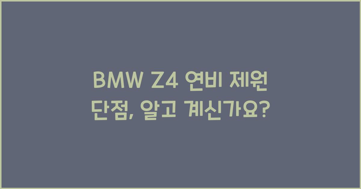 BMW Z4 연비 제원 단점
