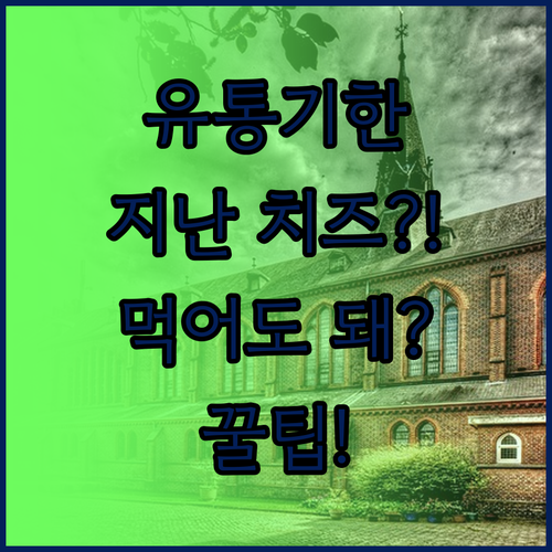 유통기한 지난 치즈 확인하고 먹는 방..