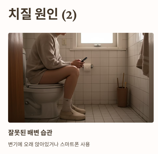 치질원인 2