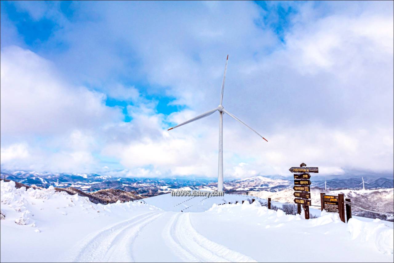 대관령 하늘목장