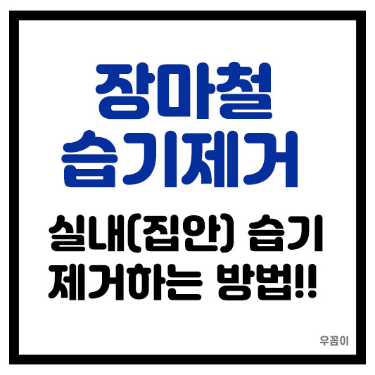 장마철 실내 집안 습기 제거 돈 안쓰고 확실하게 잡는 4가지 방법
