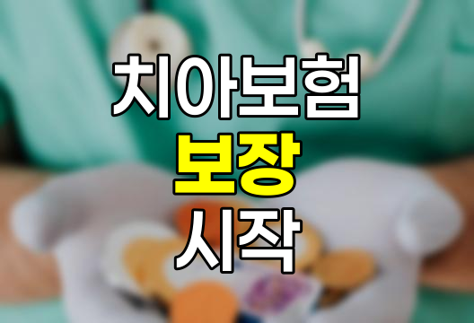 치아보험 보장 시작 시기와 주의사항