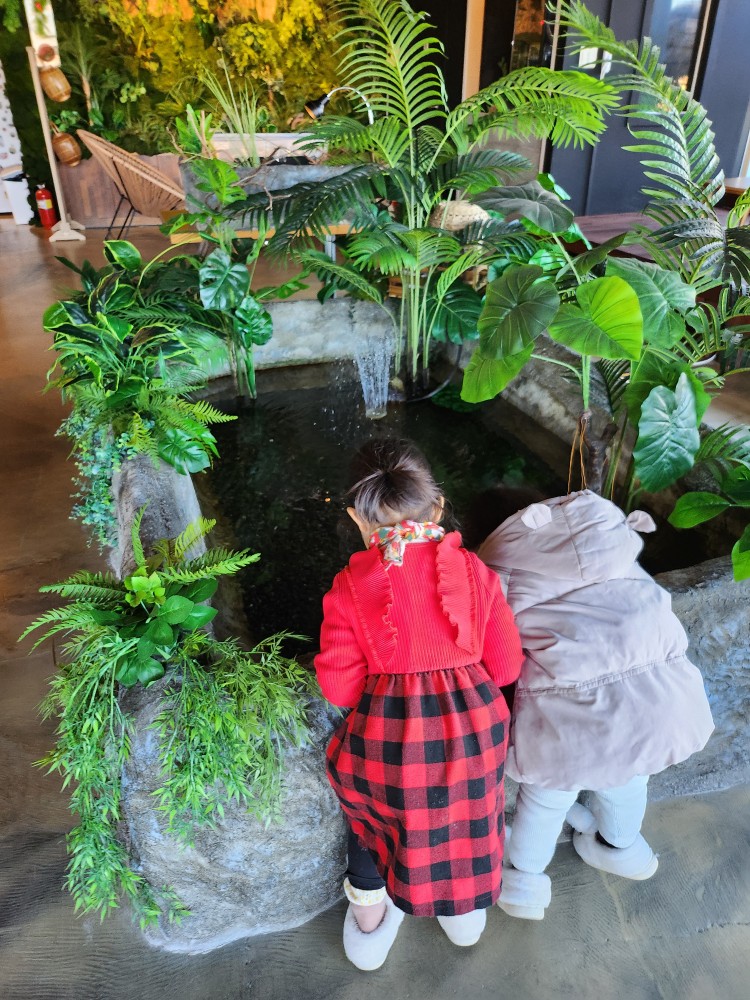 물고기 구경하는 아이들