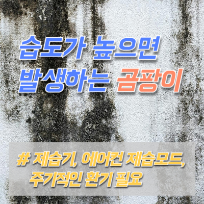 습도-문제