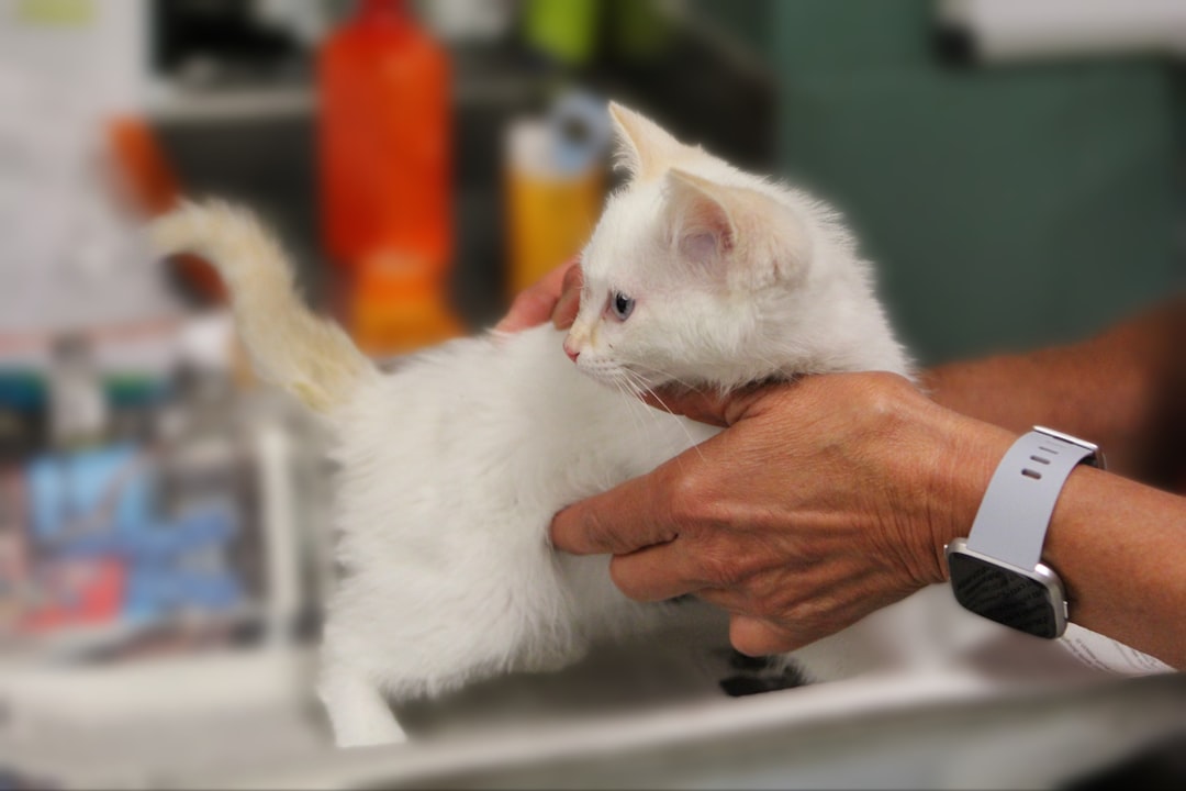 Veterinary