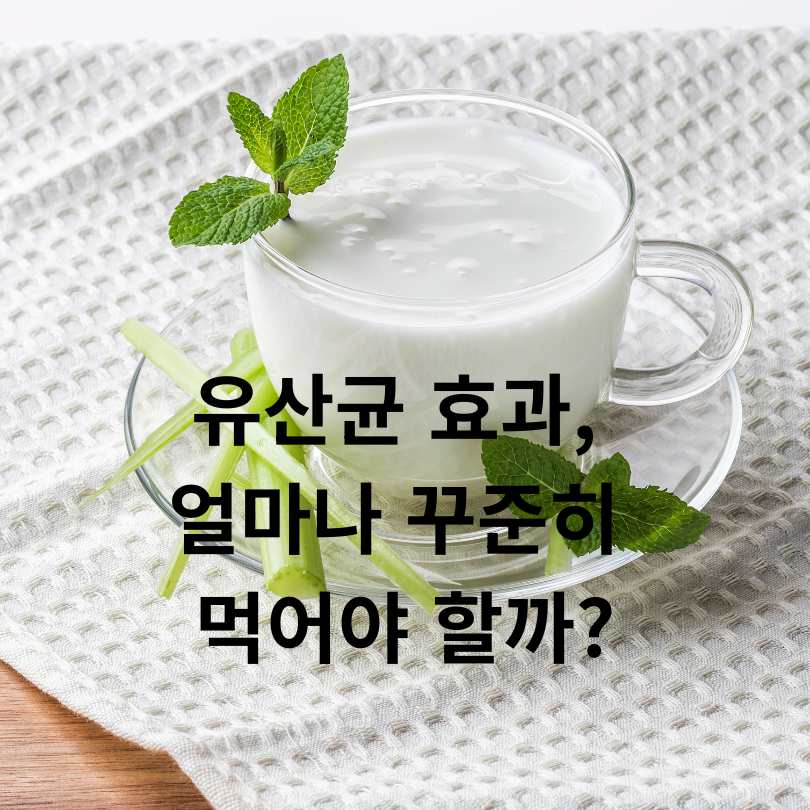 유산균 복용시간별 효과 차이와 올바른 섭취법