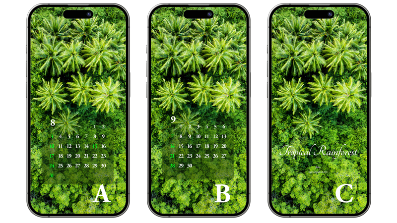 04 열대우림 항공뷰 ABC - 2025년8월 아이폰배경화면