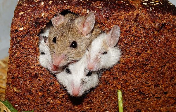 오늘의 운세 10월 27일