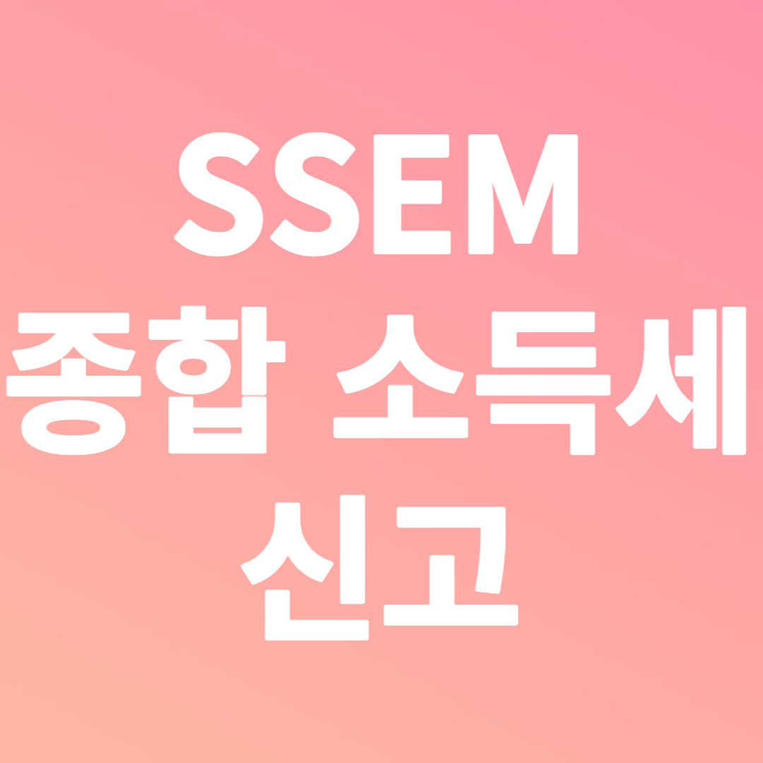 SSEM 종합 소득세 신고