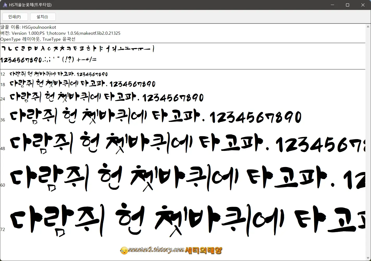 겨울 눈꽃체