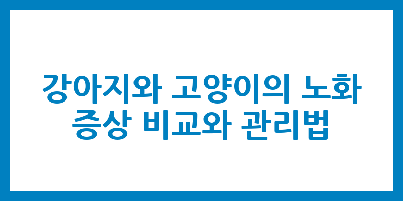 강아지와 고양이의 노화 증상 비교와 관리법
