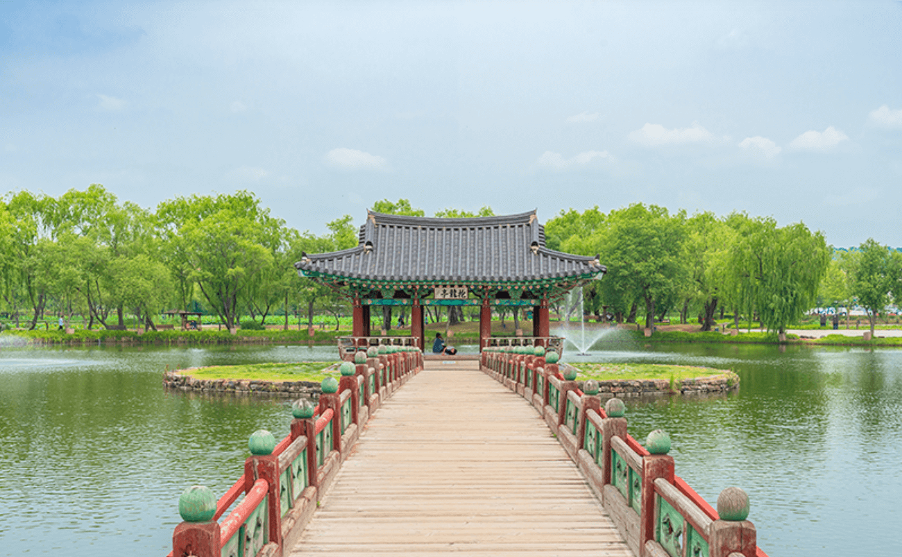 부여 궁남지 연꽃1