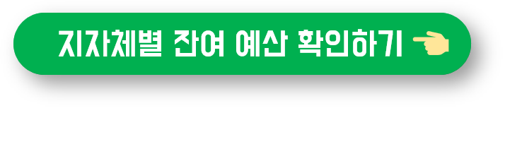 지자체별 잔여 예산 확인하기 버튼