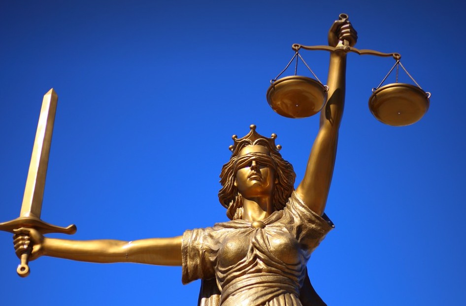 헌법재판소의 역할