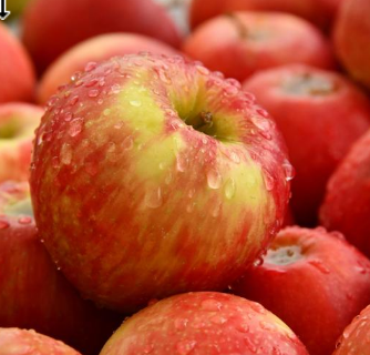 소화불량 위장 건강에 좋은 필수음식 TOP 6