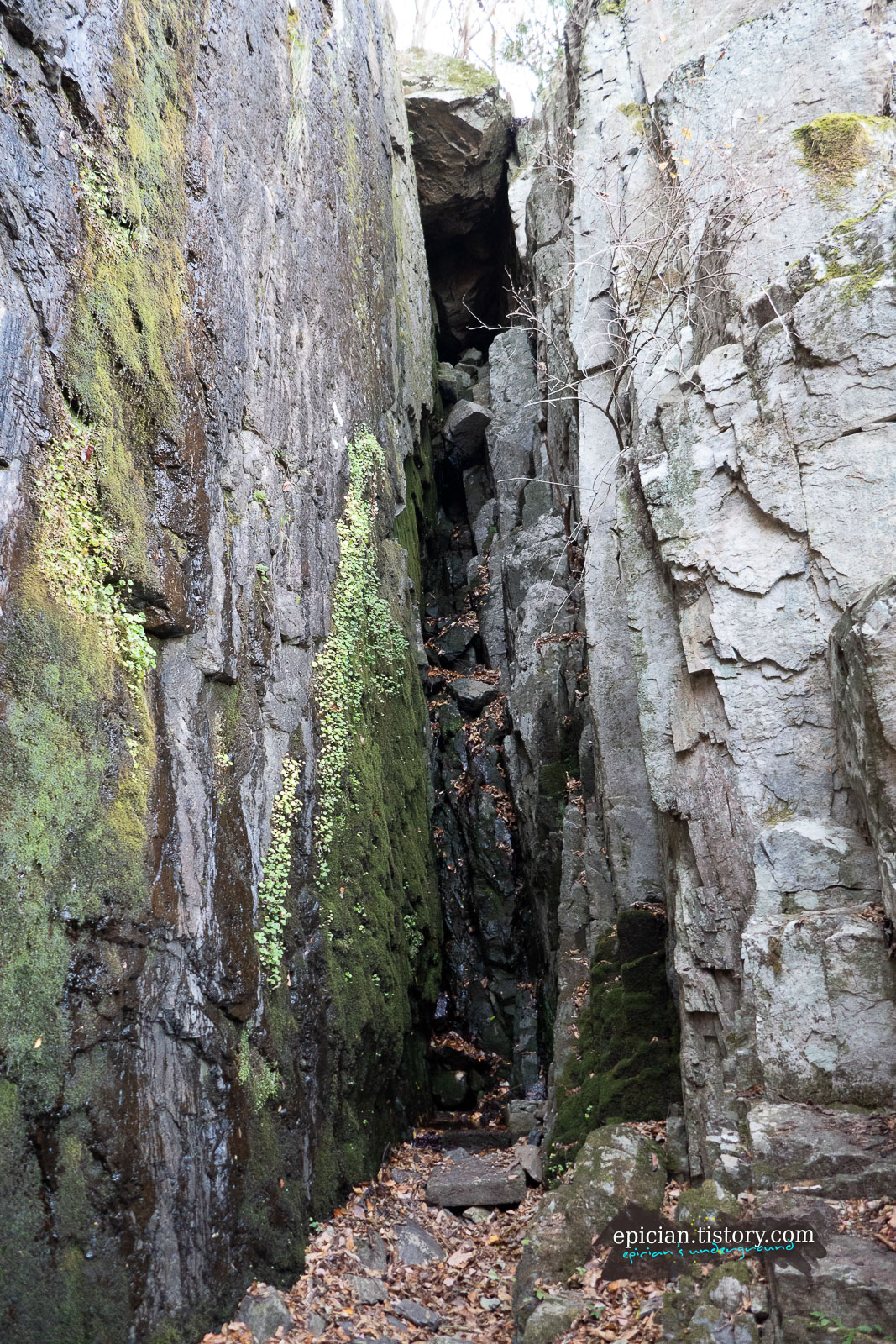 이끼가 가득한 커다른 바위 틈