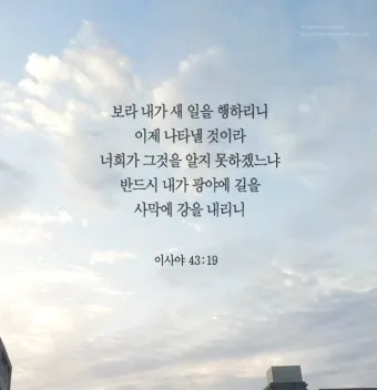 이사야 40장 31절 묵상 - 오직 여호와를 앙망하는 자는 새 힘을 얻으리니_28