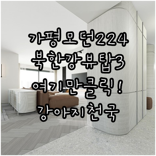 가평 애견 펜션 모던224 위치 정보..