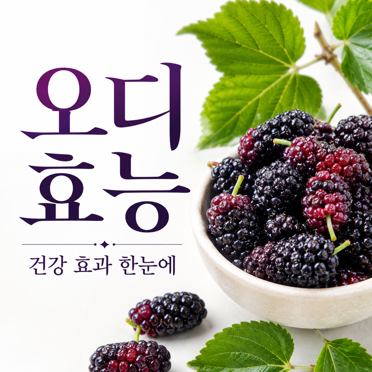 오디 효능