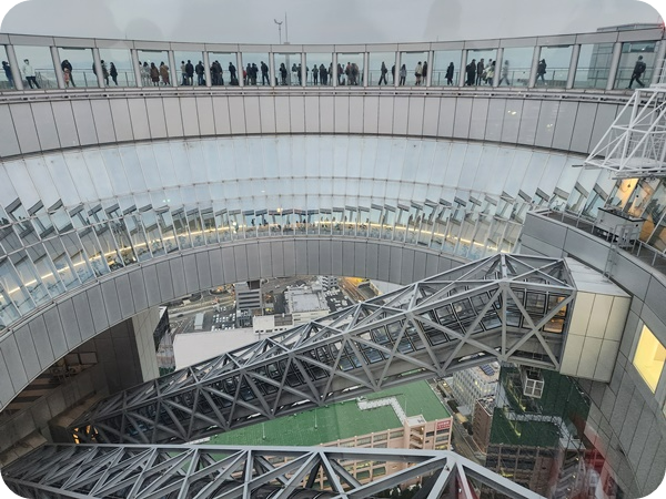 39층에서_바라본_공중정원