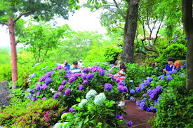 휴애리 입장료 50% 할인받는 법