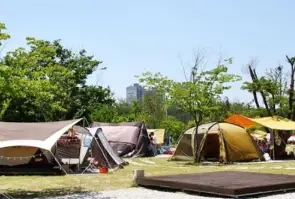 금은모래 캠핑장 예약 이용 팁