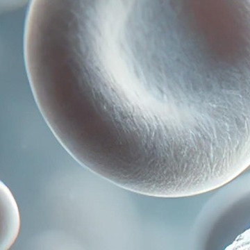 백혈구 수치가 낮으면 나타나는 증상