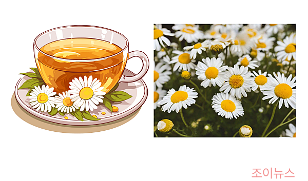 불면증에 좋은 음식, 6.카모마일