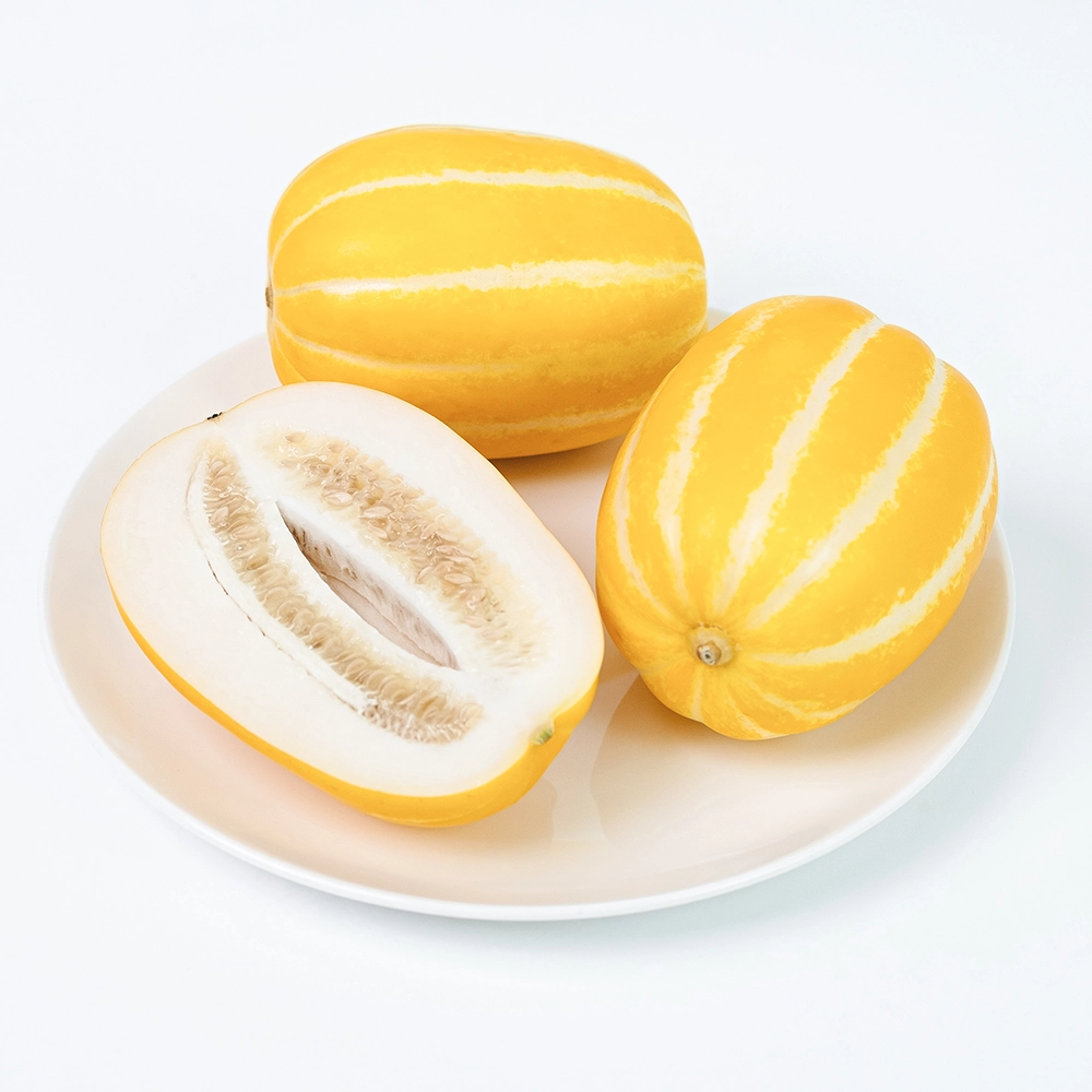 맛있는 참외 고르는 법