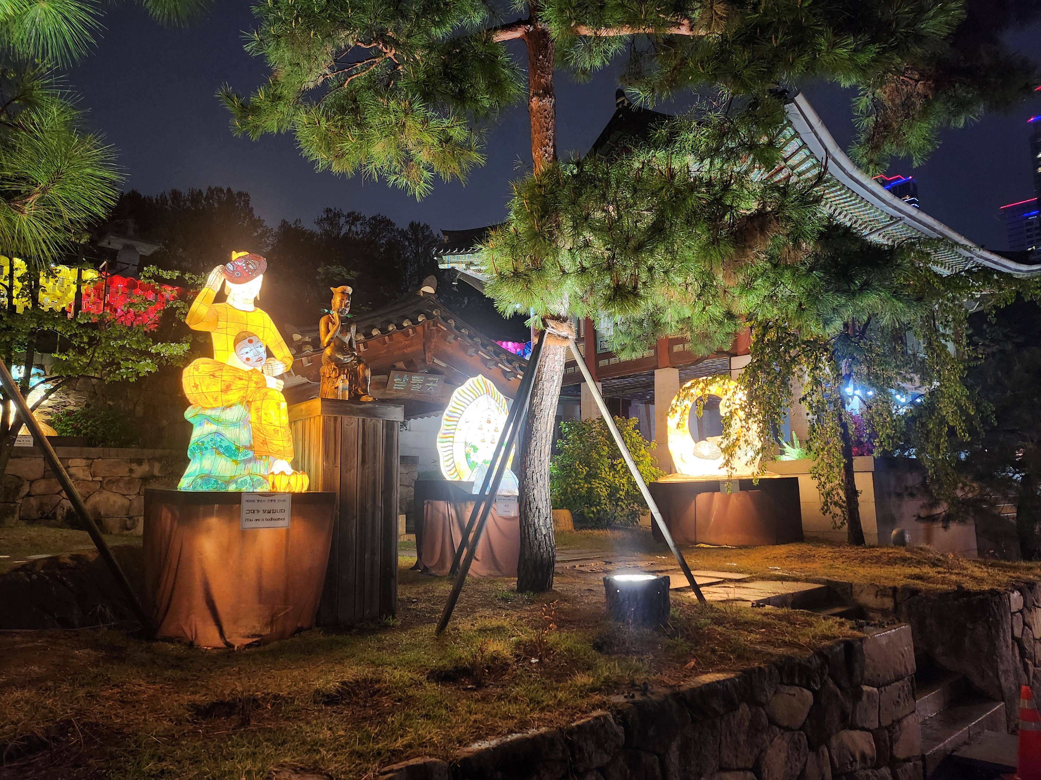 2025. 4. 19. 봉은사 연등제 야경 산책 후기 (겹벚꽃, 라일락, 홍매화 개화상황 포함)