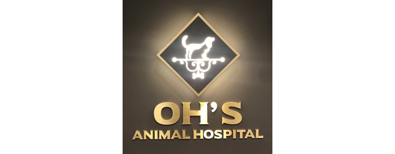 서울 서대문구 동물병원