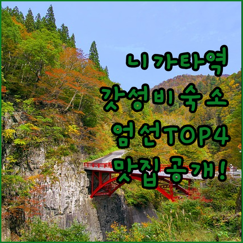 일본 니가타역 가성비 숙소 추천 TO..