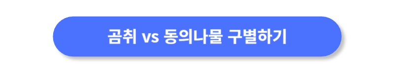 버튼