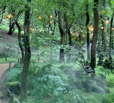 당일치기/가을/힐링/여행 /제이드/가든