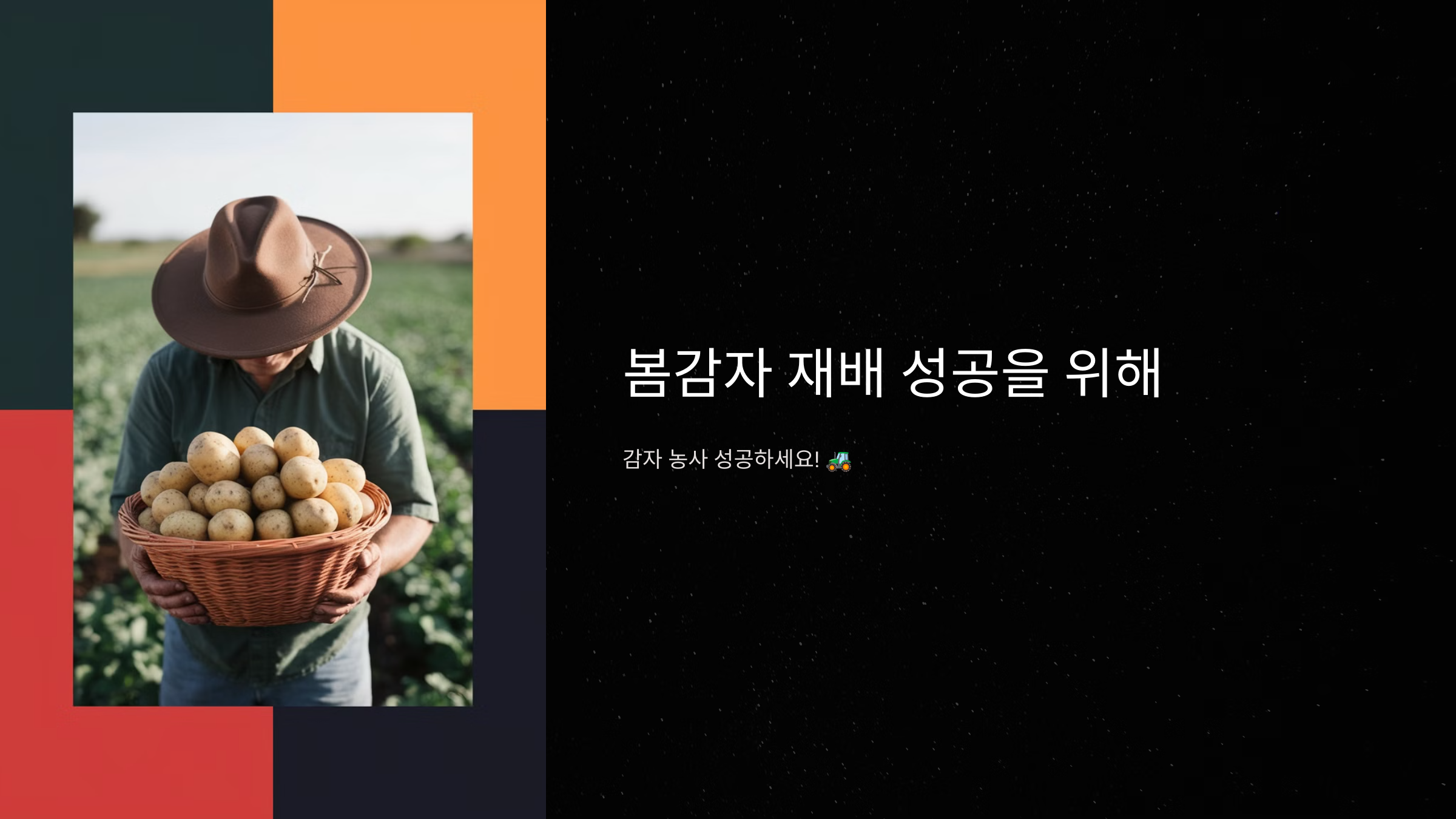 감자 농사 성공하세요!