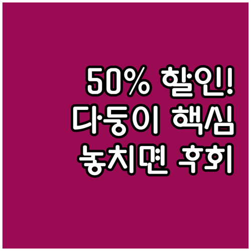 2025 광진구 다둥이 행복카드 주차..