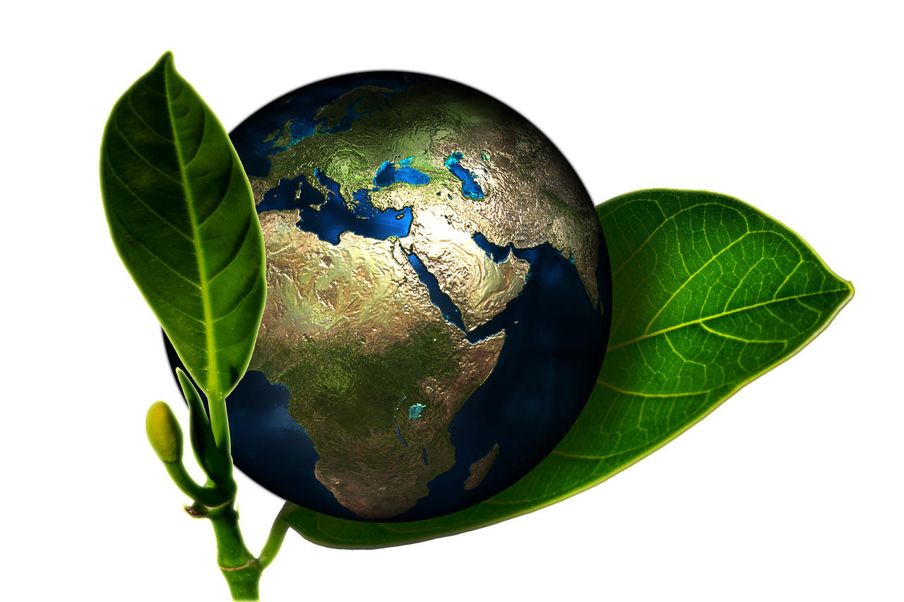 플라스틱 없이 살아보기 – 대체 가능한 생활용품 10가지 (제로웨이스트 실천템 가이드)