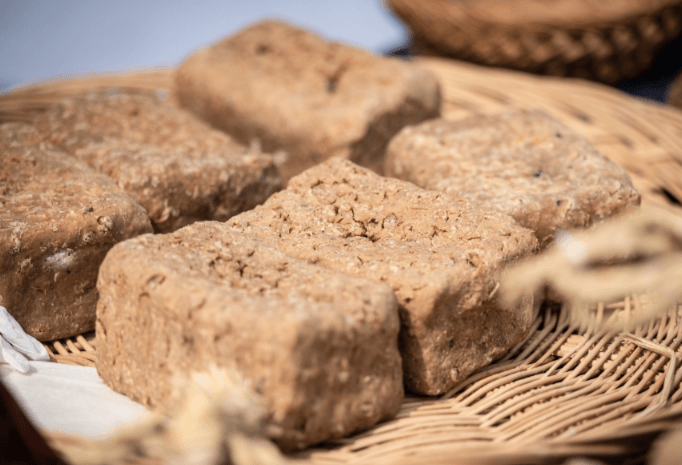 4월 축제 하는곳