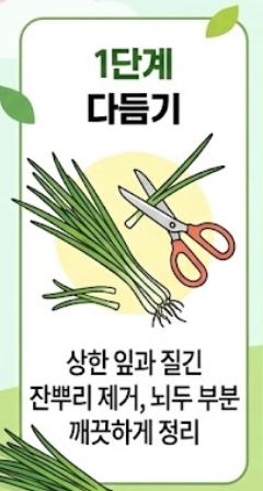 냉이 손질법 및 싱싱한 보관 꿀팁