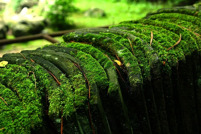 전기 &amp; 물 절약하는 친환경 생활 습관 10가지